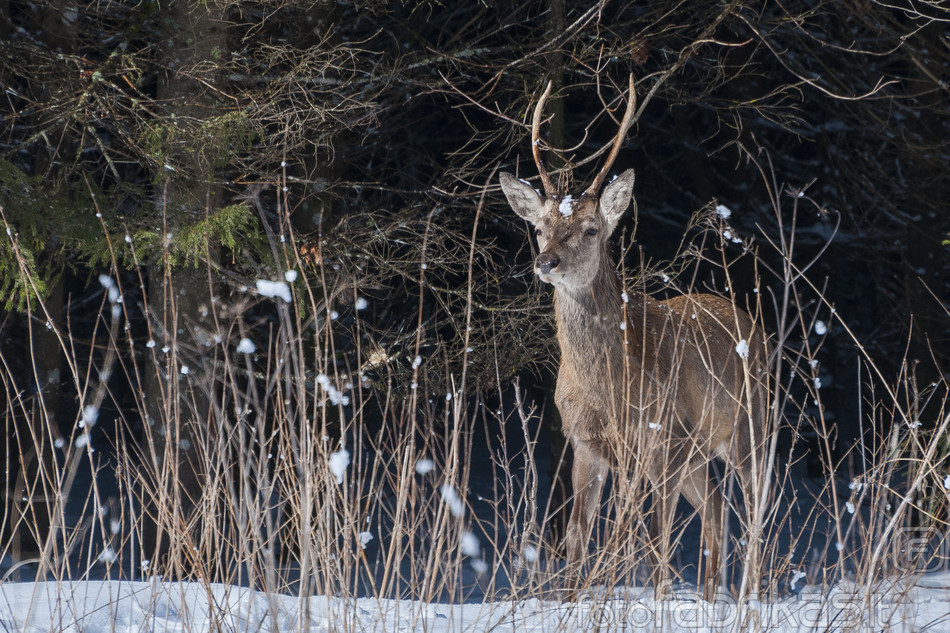 DSC_3581.jpg
