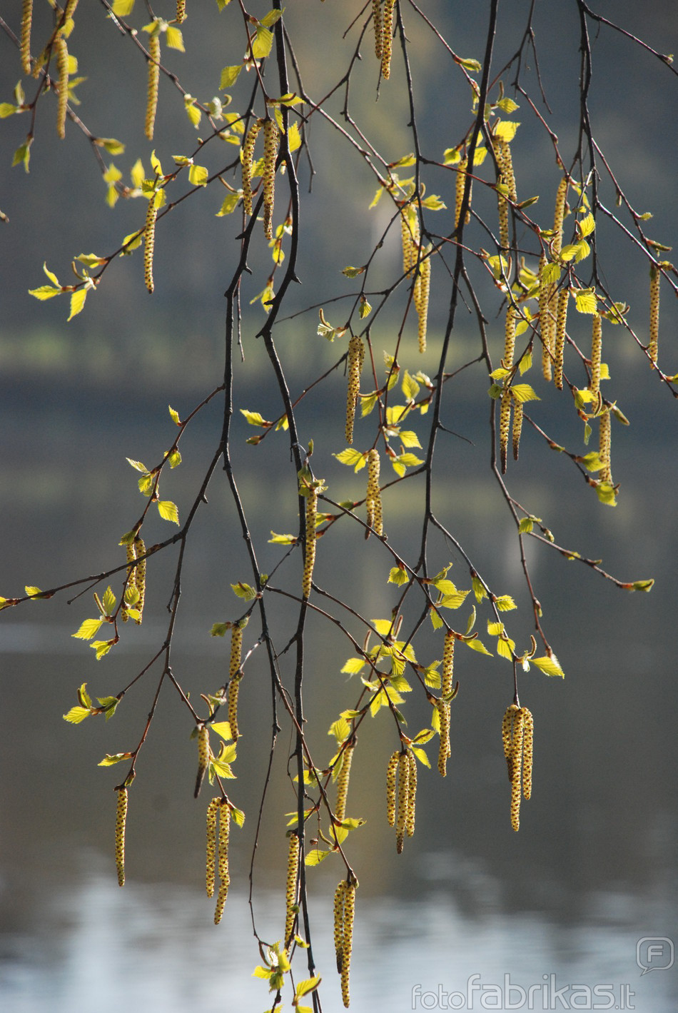 DSC_0760.JPG