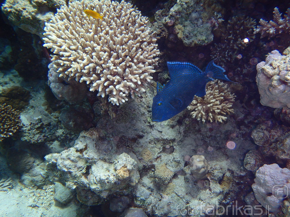 P4160136.JPG