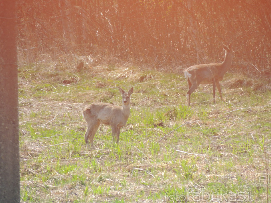 DSCN7756.jpg