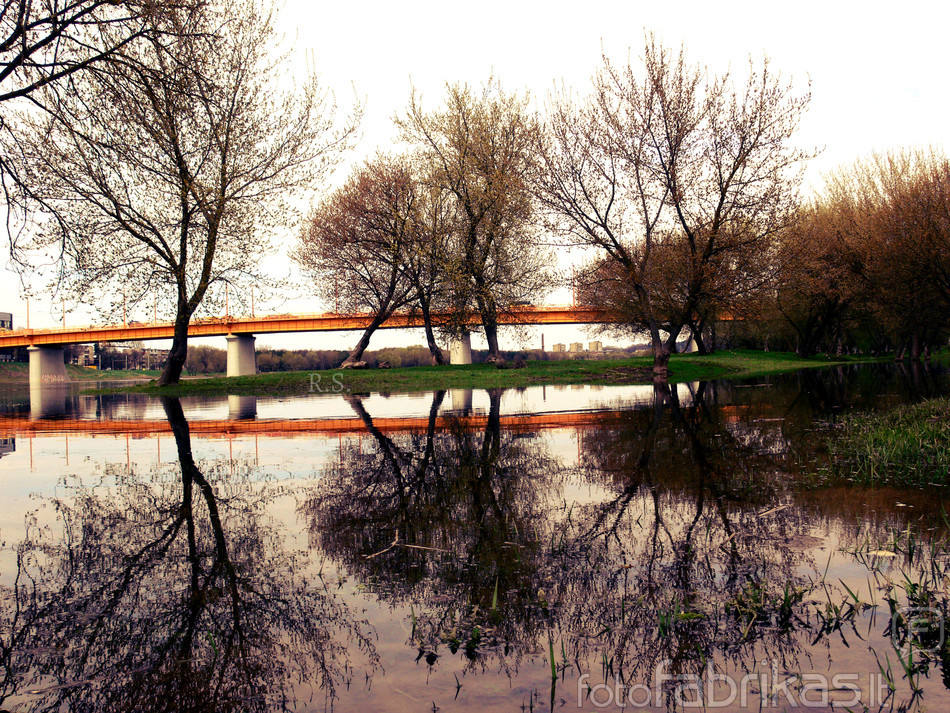P1160486.jpg