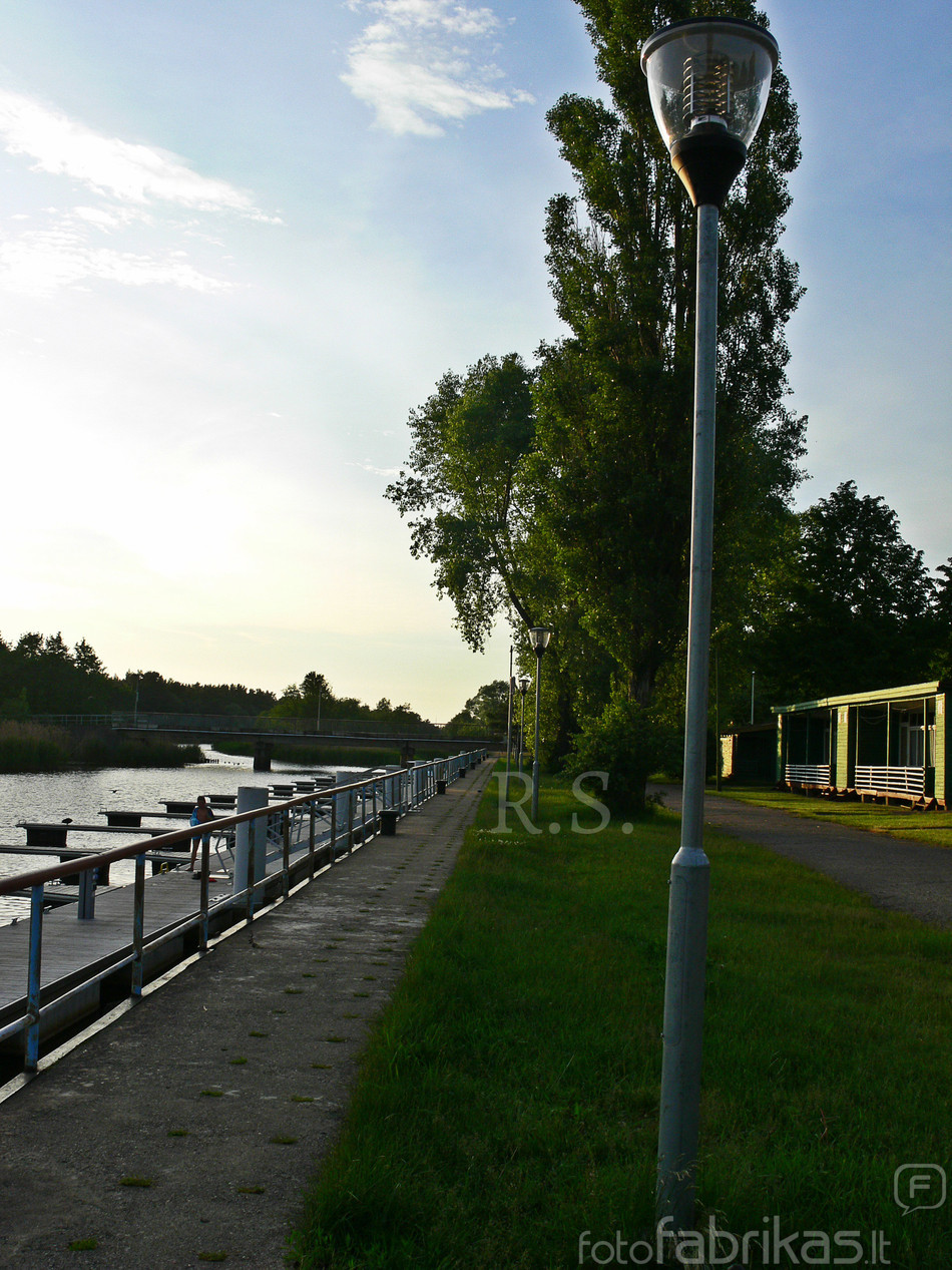 P1170204.jpg