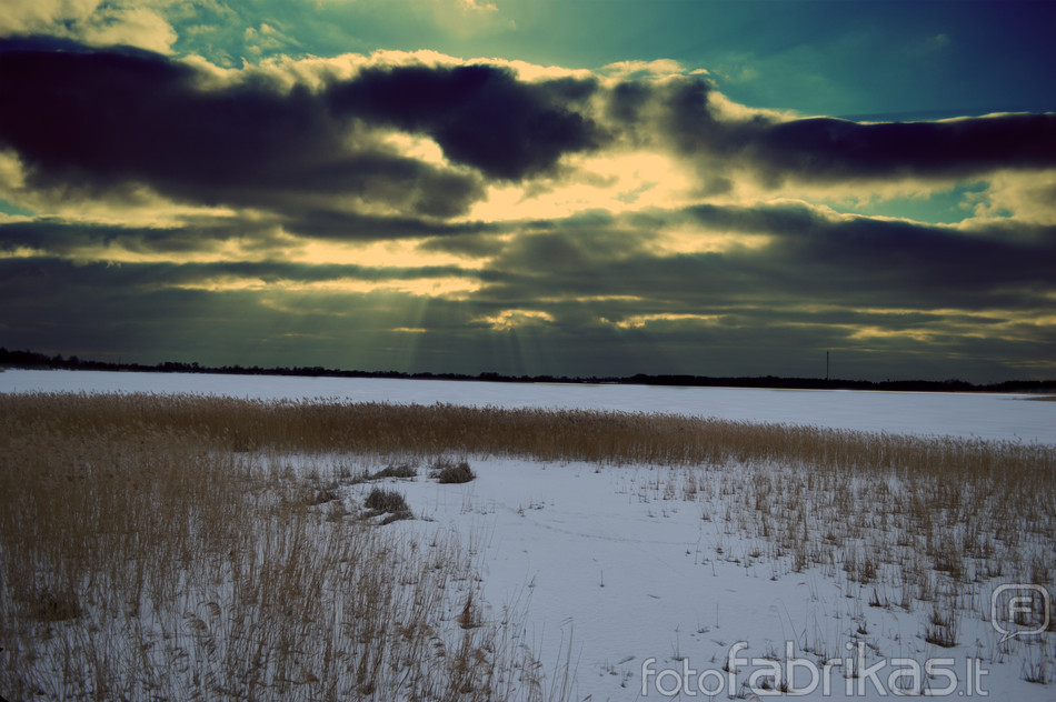 DSC_1710a.jpg