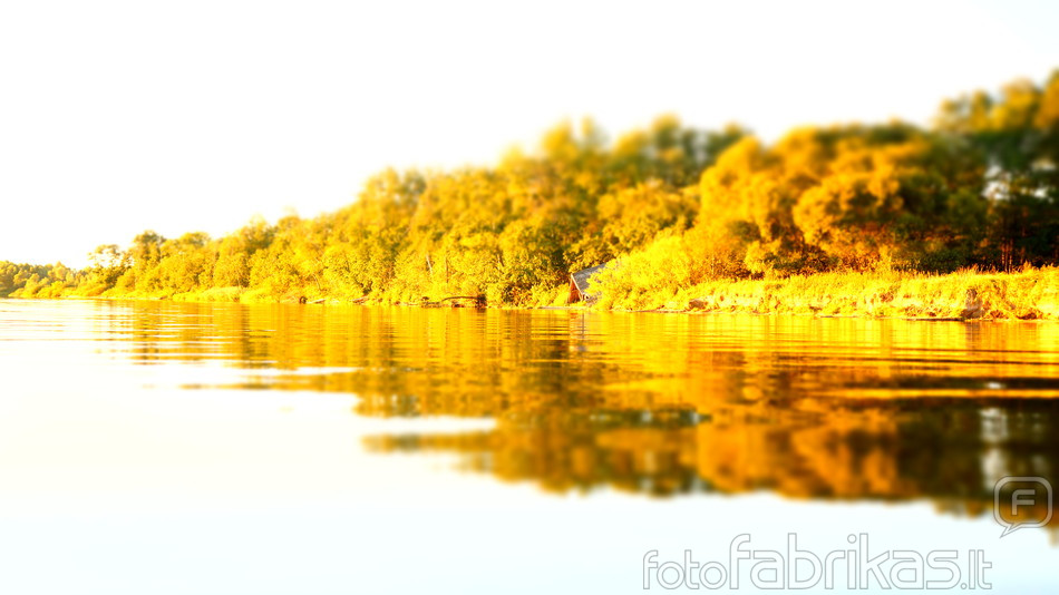 DSC04327.JPG