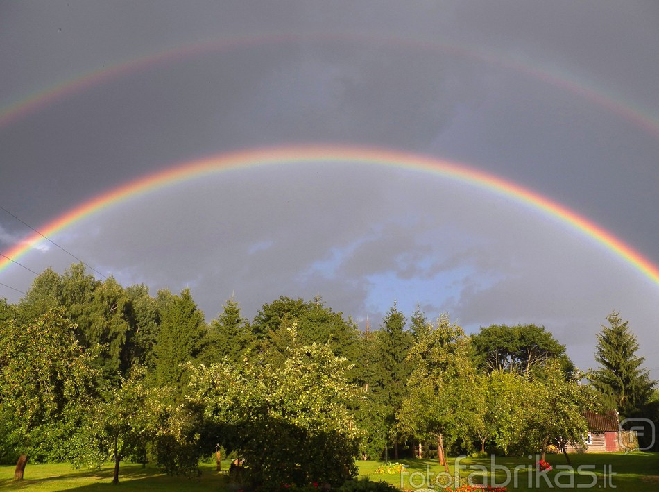 100_1076.JPG