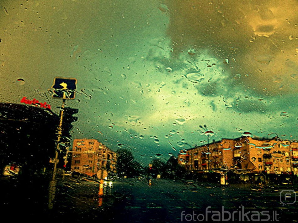 100_8873.JPG