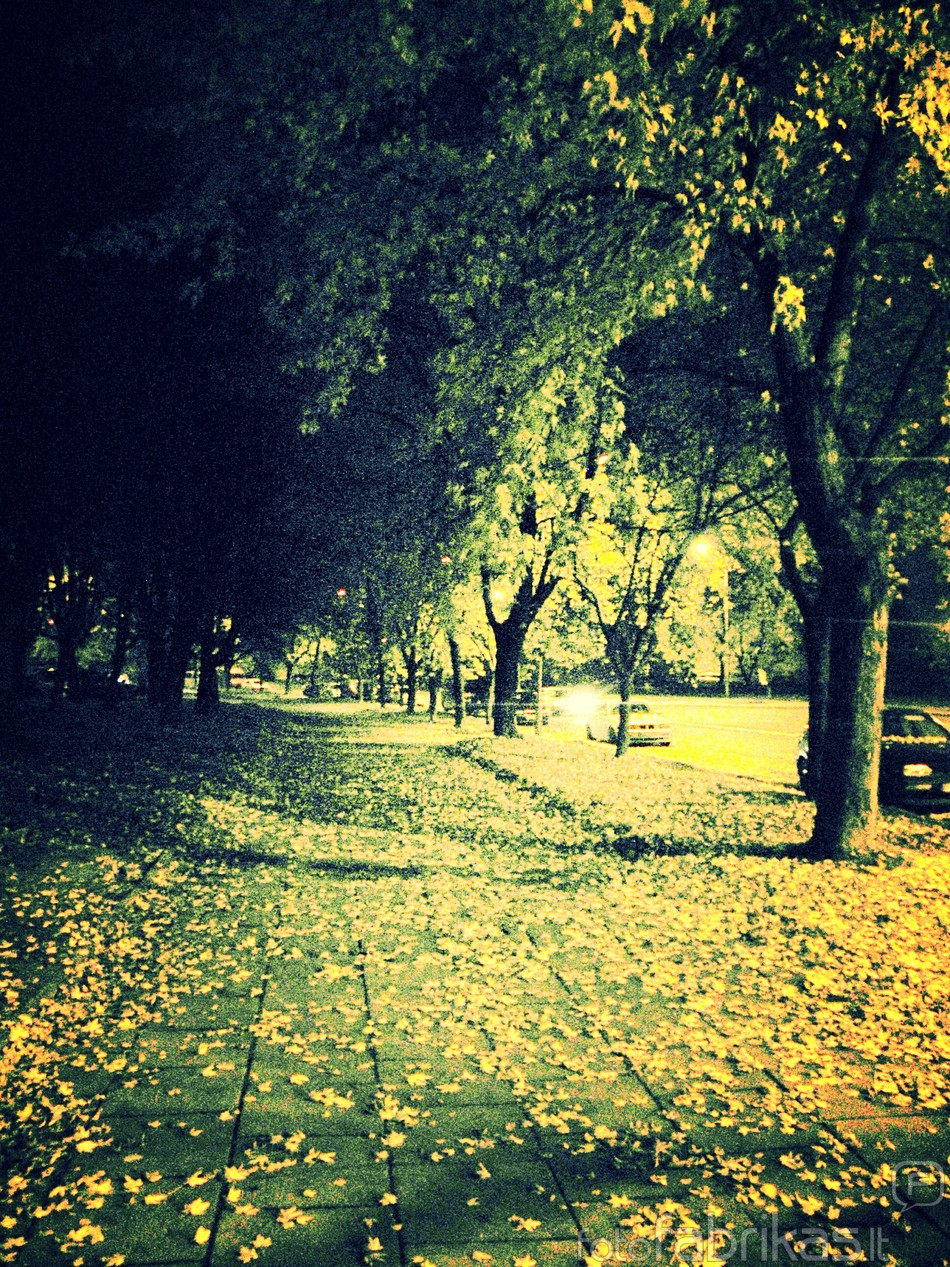 Rudeninis vakaras lazdynuose
