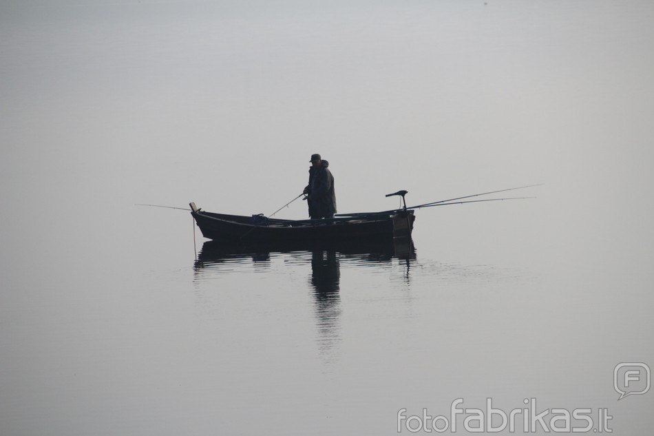 _MG_2261.JPG