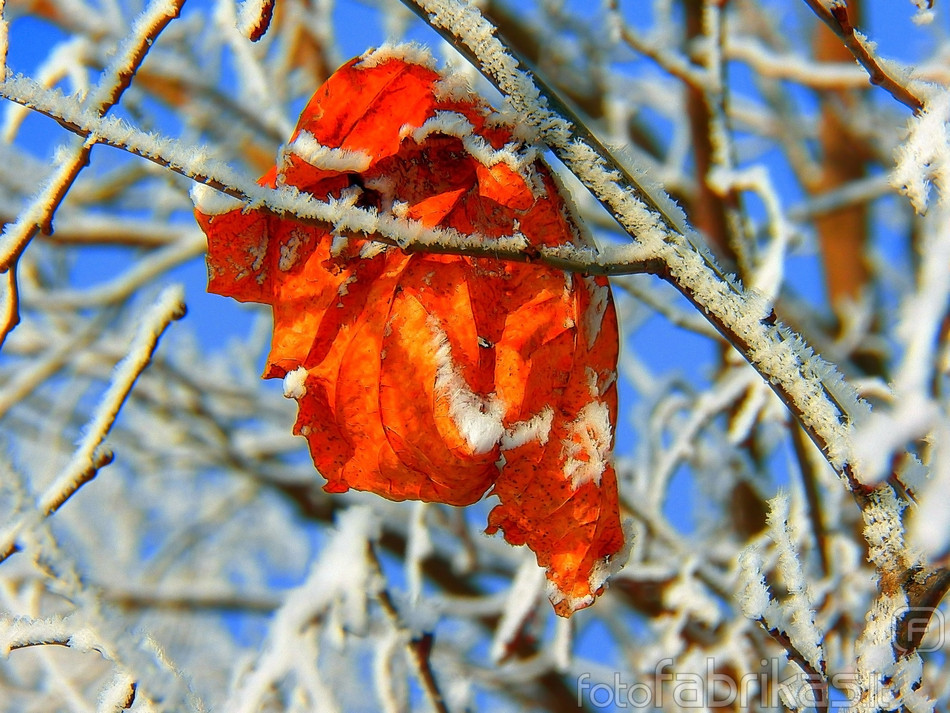 100_3433.JPG