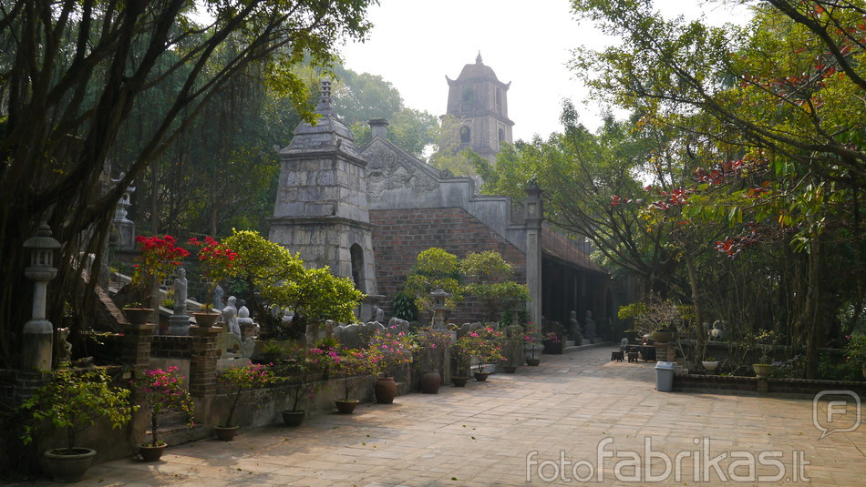 Viet Phu Thanh Chuong