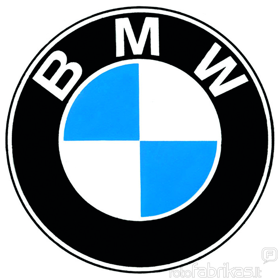 bmw_logo_79.jpg