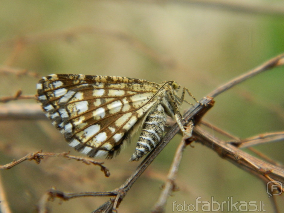 DSCN3221.JPG