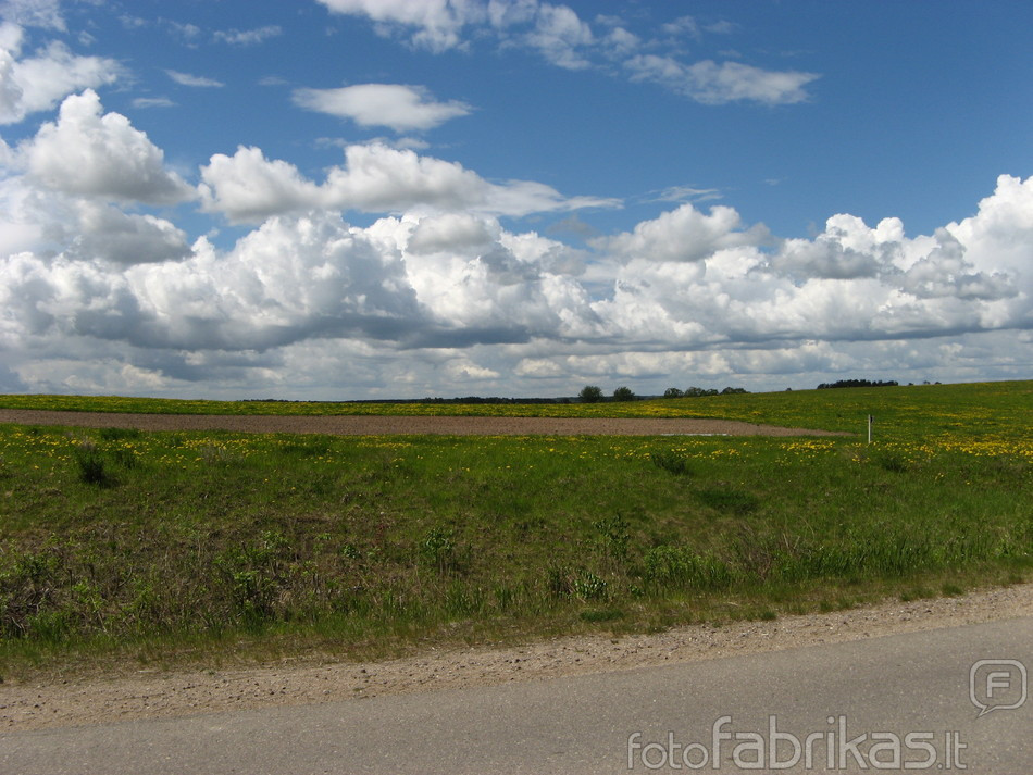 Picture007.jpg