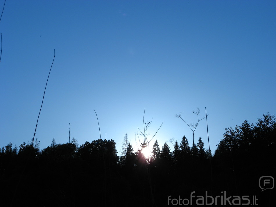 Picture047.jpg