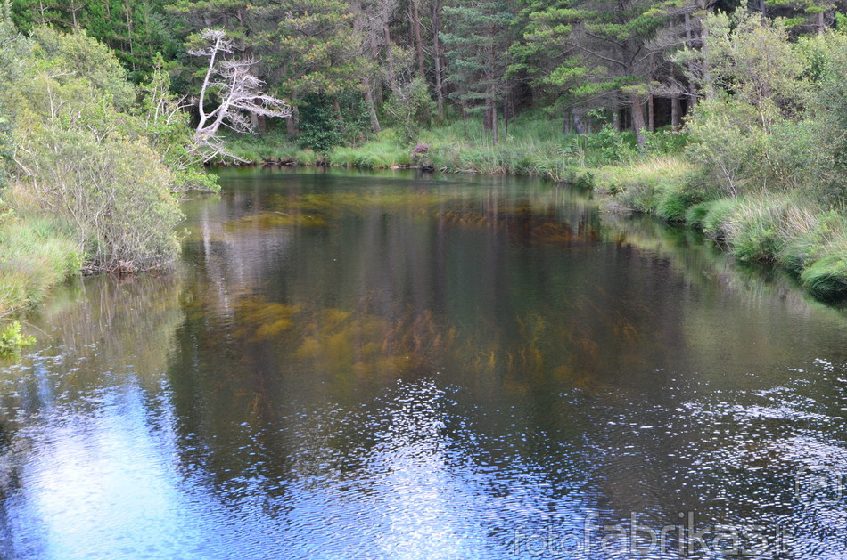 DSC_6041.JPG