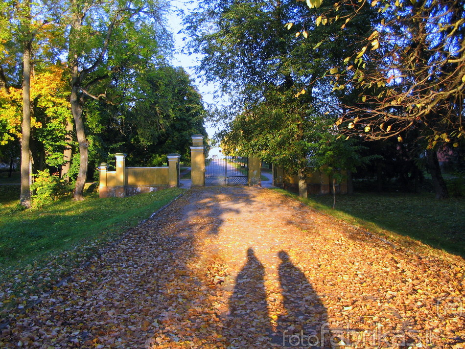 Baisogala autumn nurses.jpg