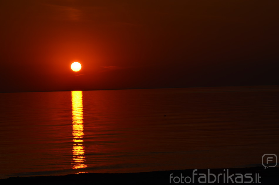 DSC_2790.JPG