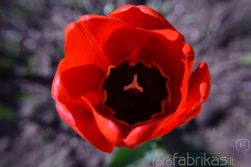 DSC_5395[1].JPG