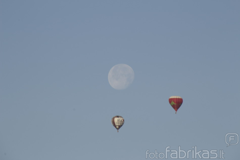 _MG_5897.JPG