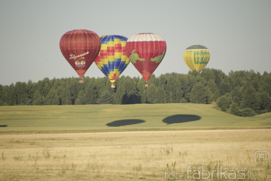 _MG_5939.JPG
