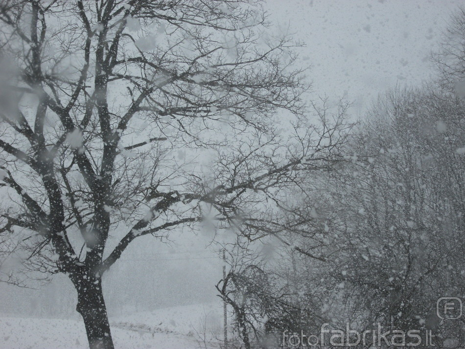 DSCF1066.JPG