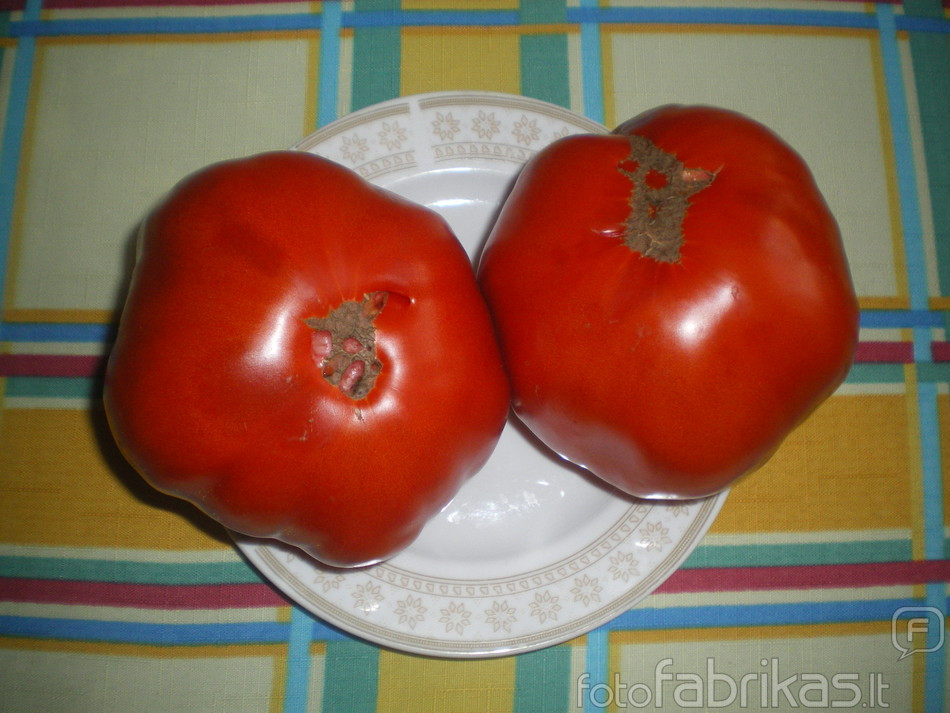 pramogos 006.jpg
