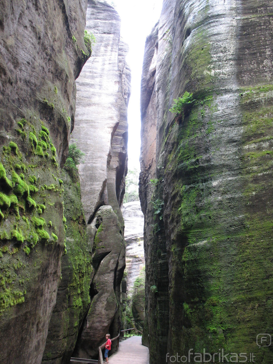 IMG_0756.JPG