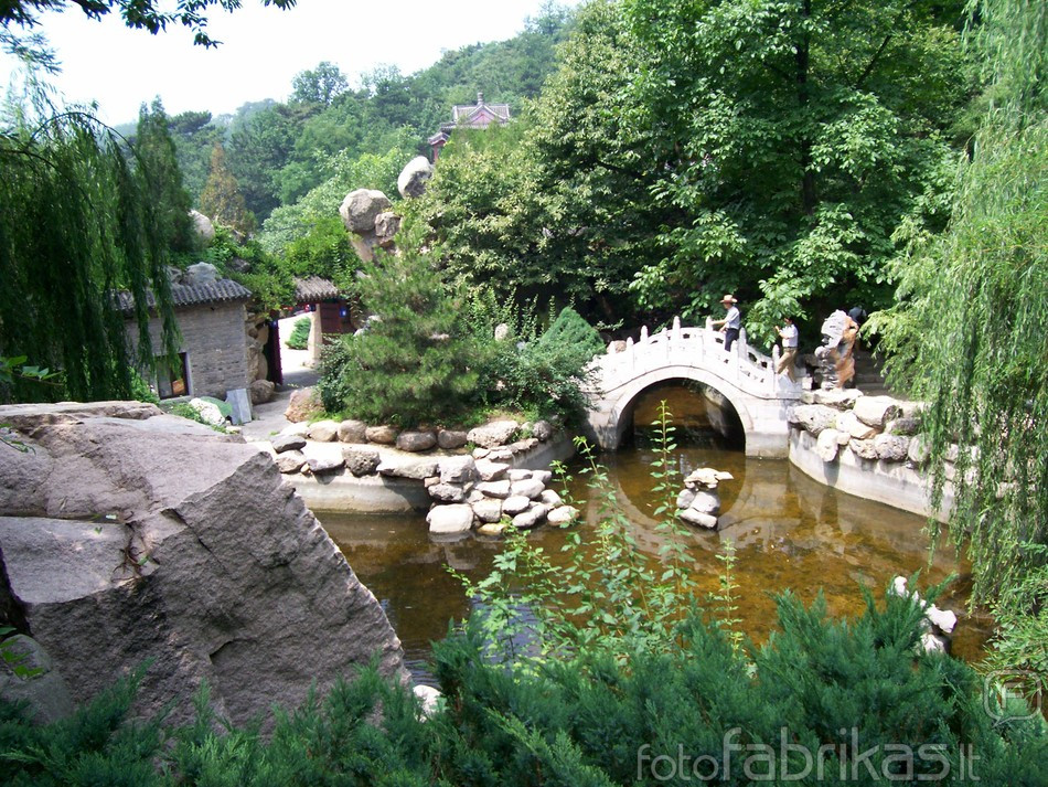 100_0967.jpg