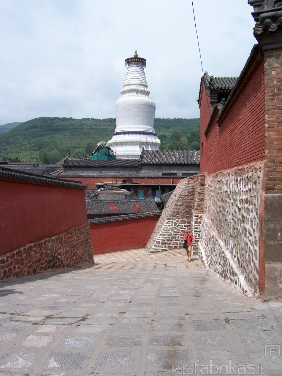 100_1113.jpg