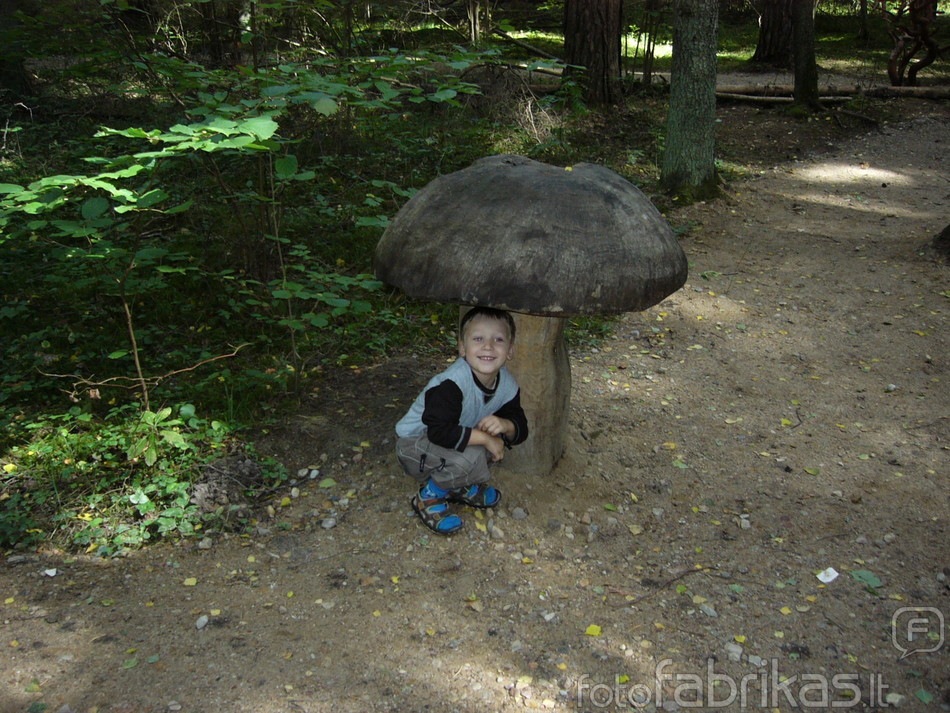 P1020311.JPG