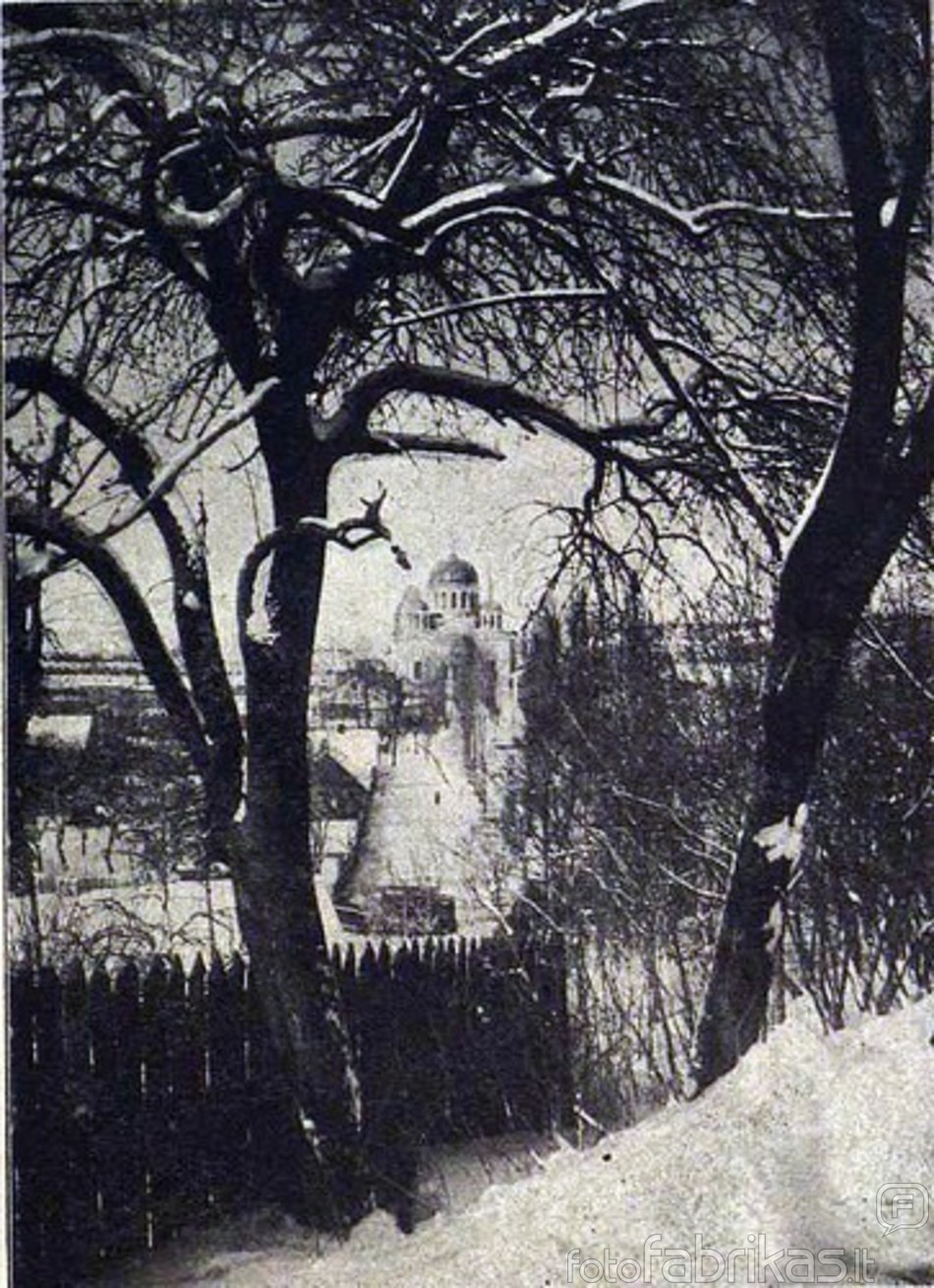 Zvilgsnis i katedra nuo ''Petrakalnio'' 1915m..jpg