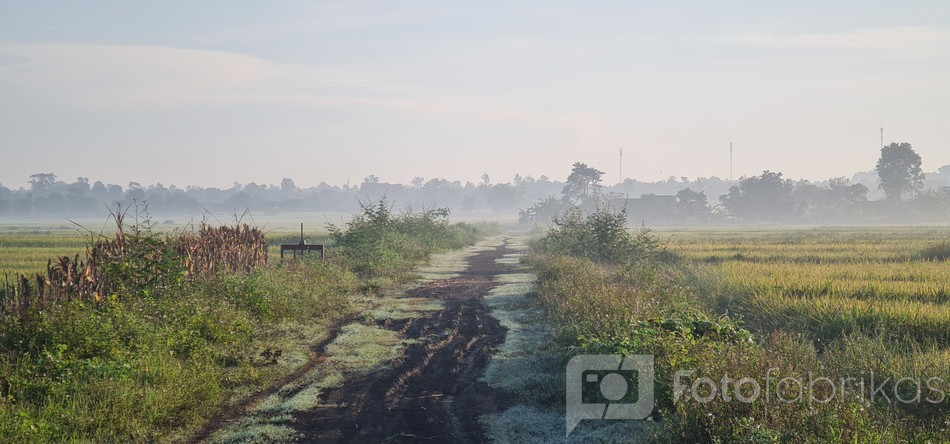 Country roads…