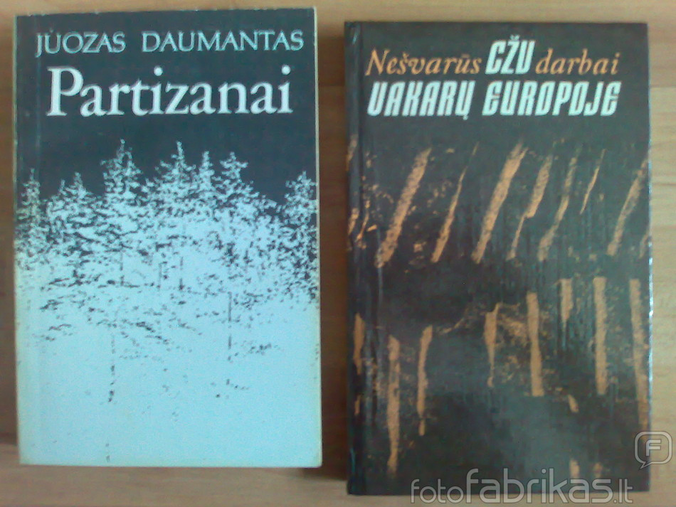 20090929218.jpg