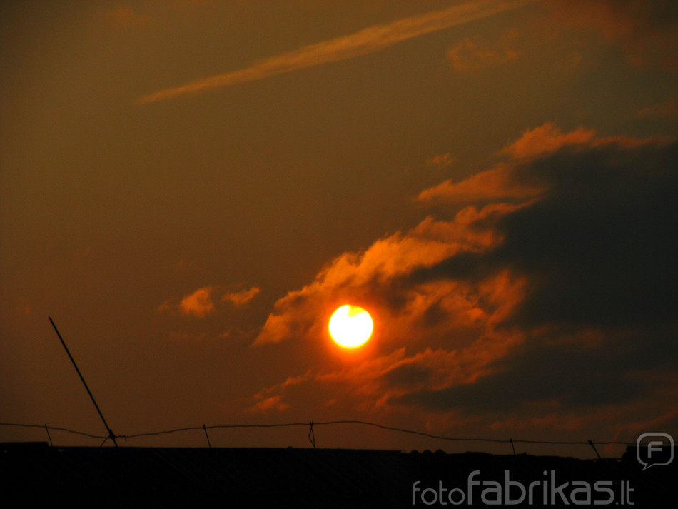 IMG_2896_edited.jpg