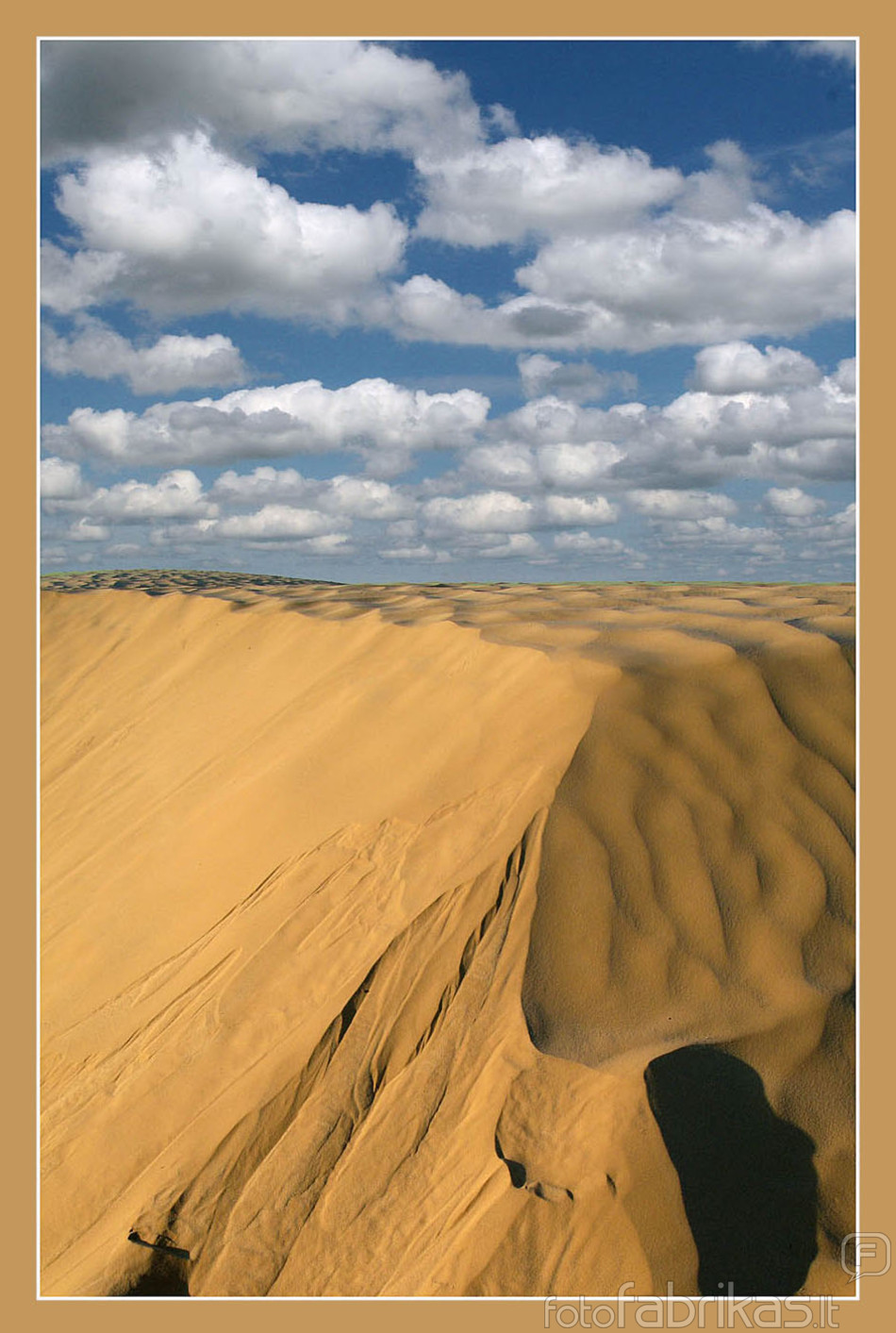 sahara.jpg