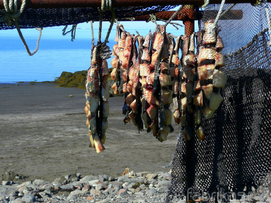 Žuvies kvapas Atlanto pakrantėje