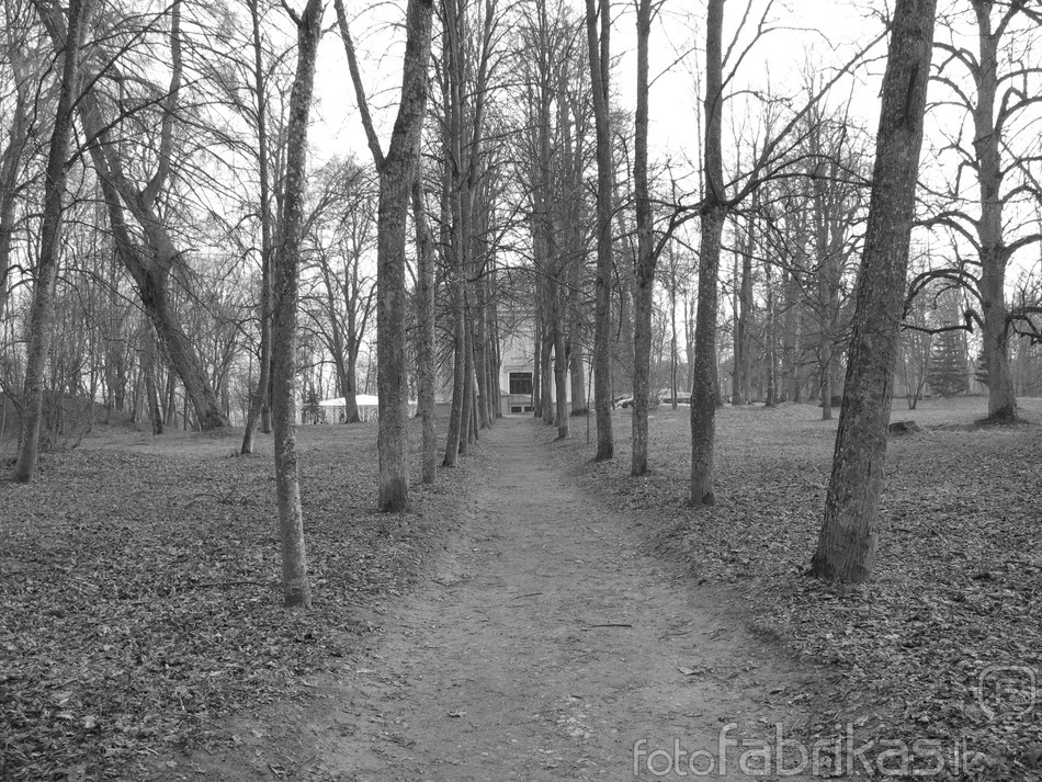 Alėja