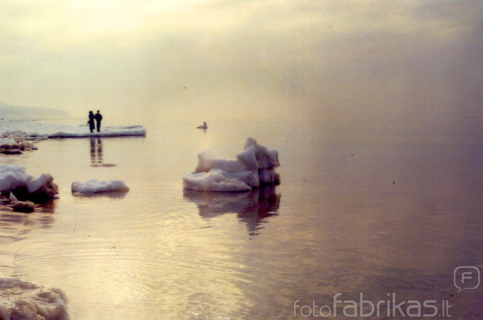 Palanga.jpg