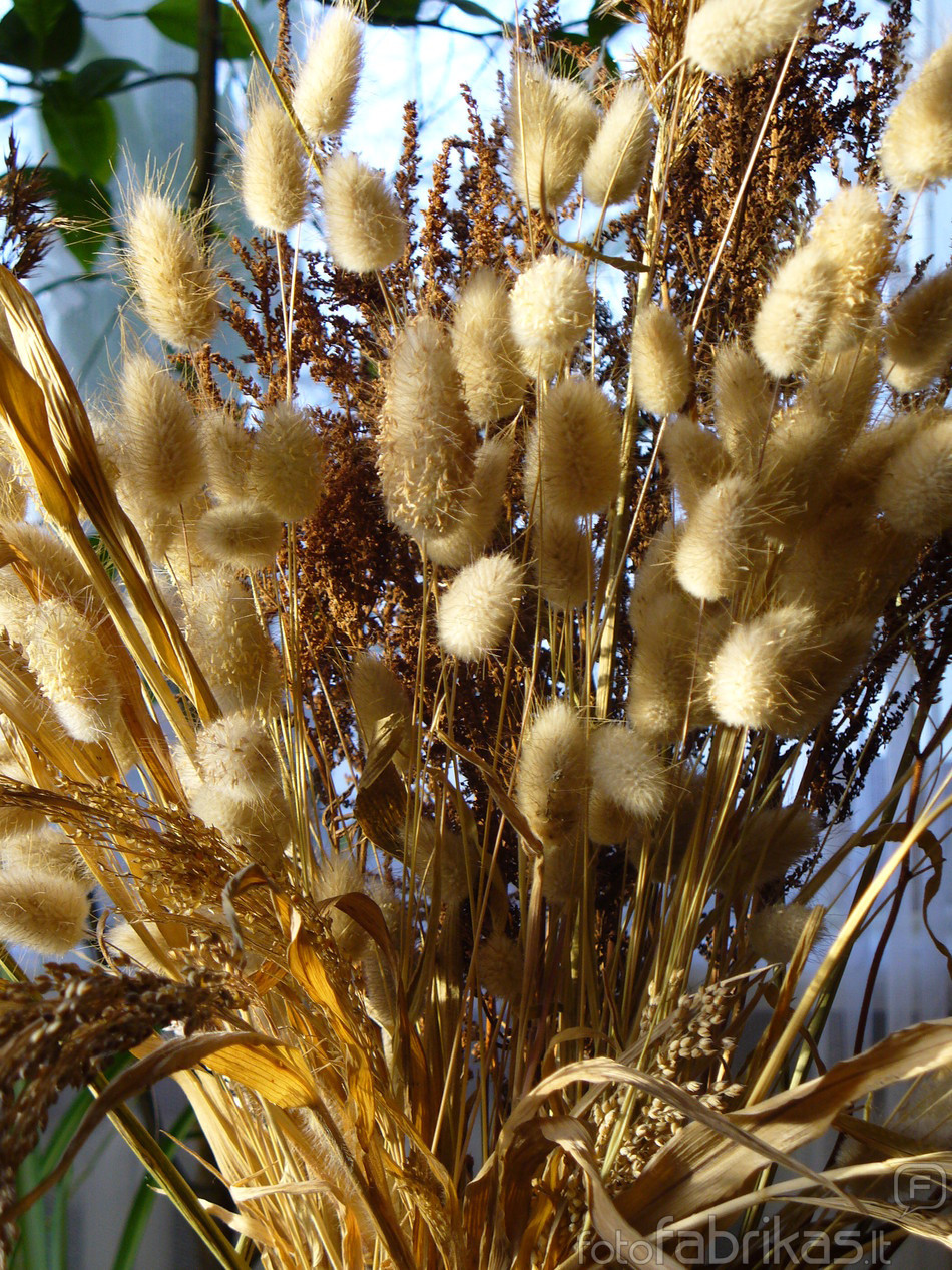 P1000815.JPG