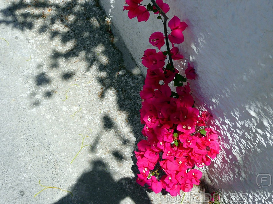 Santorini saloje