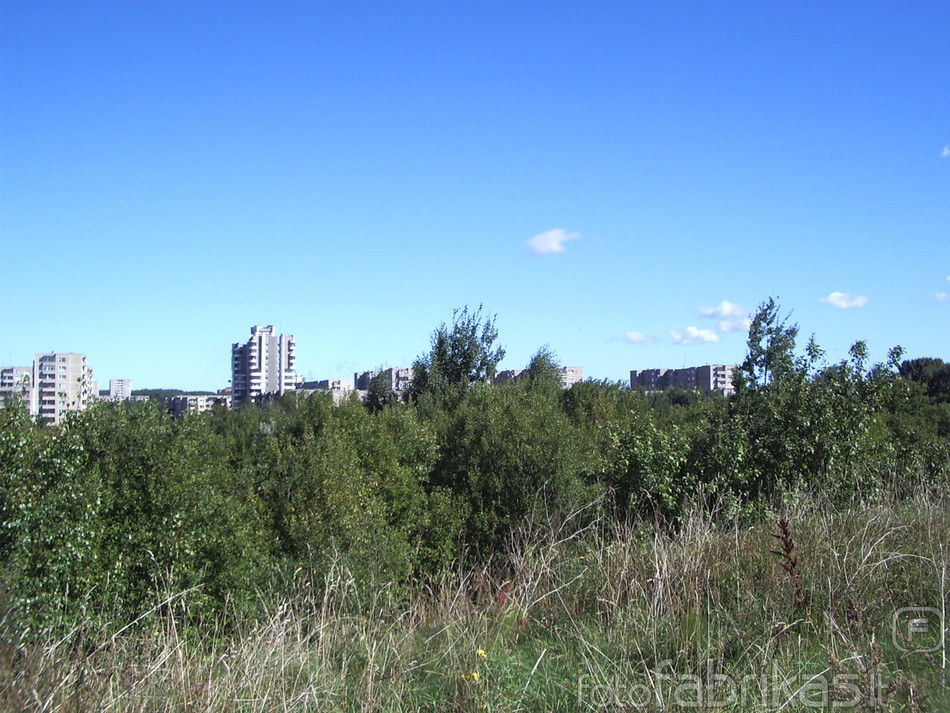 IMGP4842.JPG