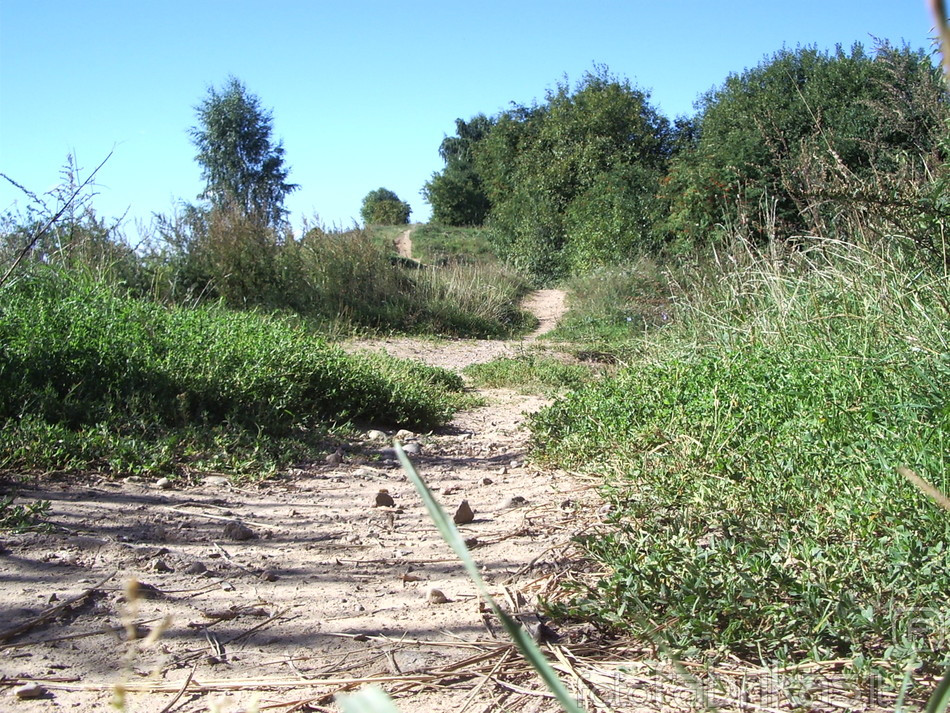 IMGP4859.JPG