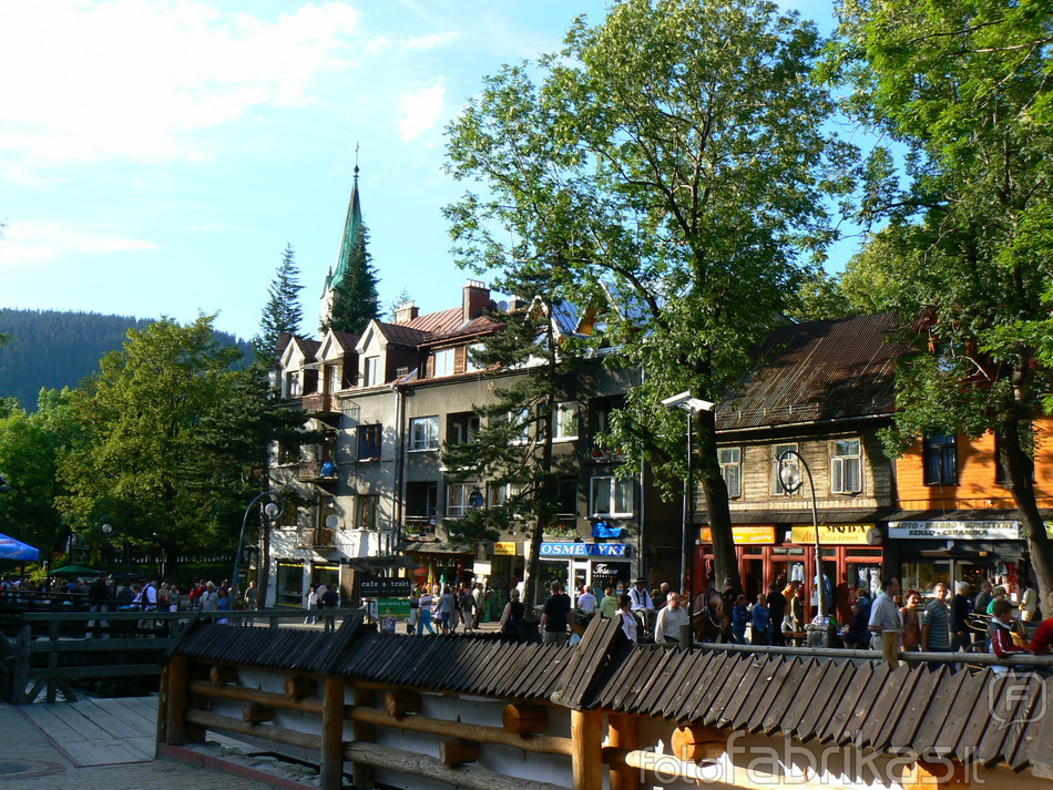 P1030020.JPG