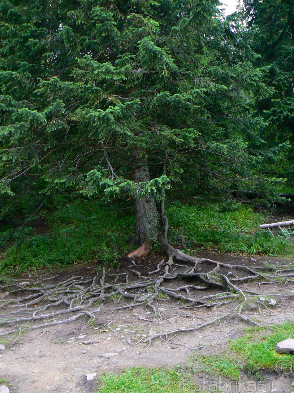 P1030063.JPG
