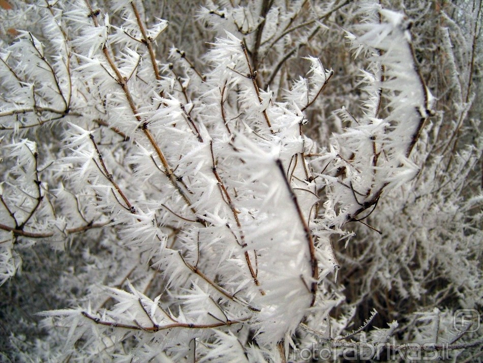20081229_342.jpg
