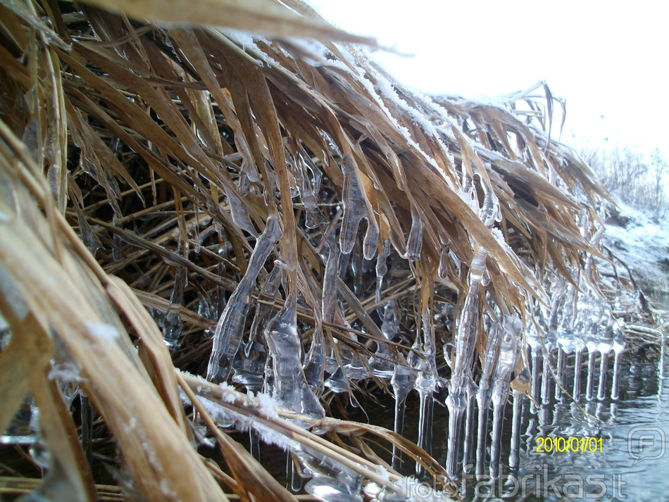 ALIM6193.JPG