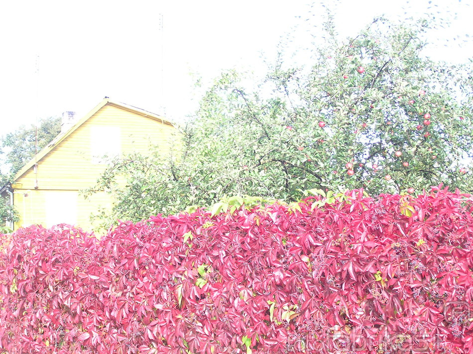 P9150124.JPG