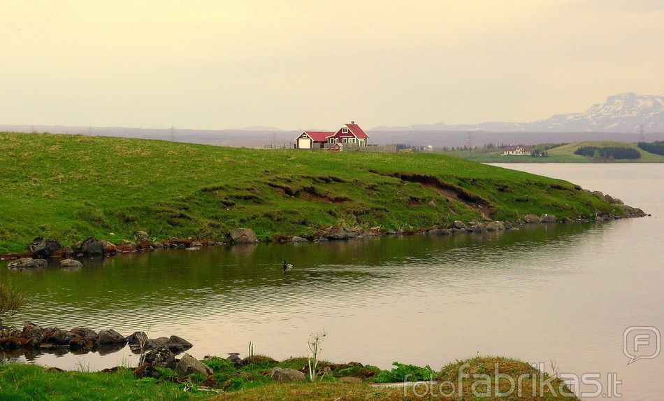 Islandijos kaime