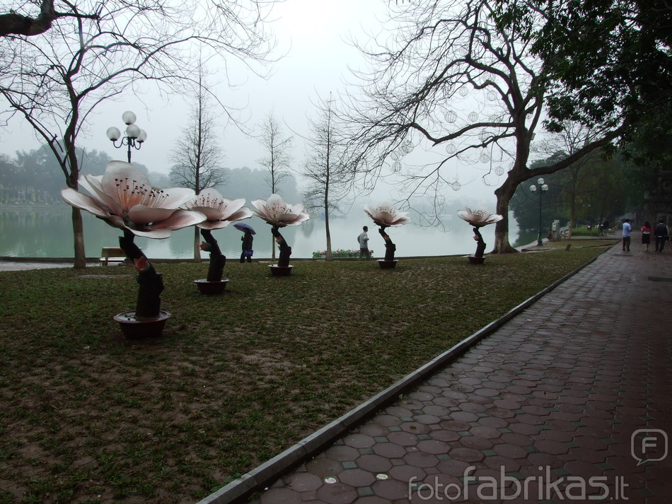 DSCF6035.JPG