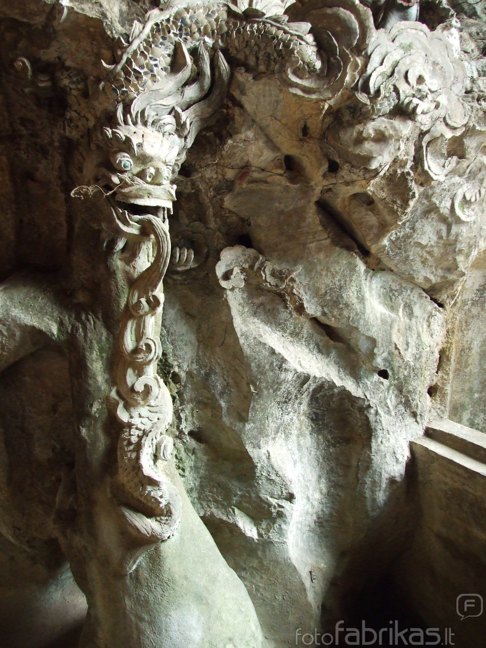 DSCF6550.JPG